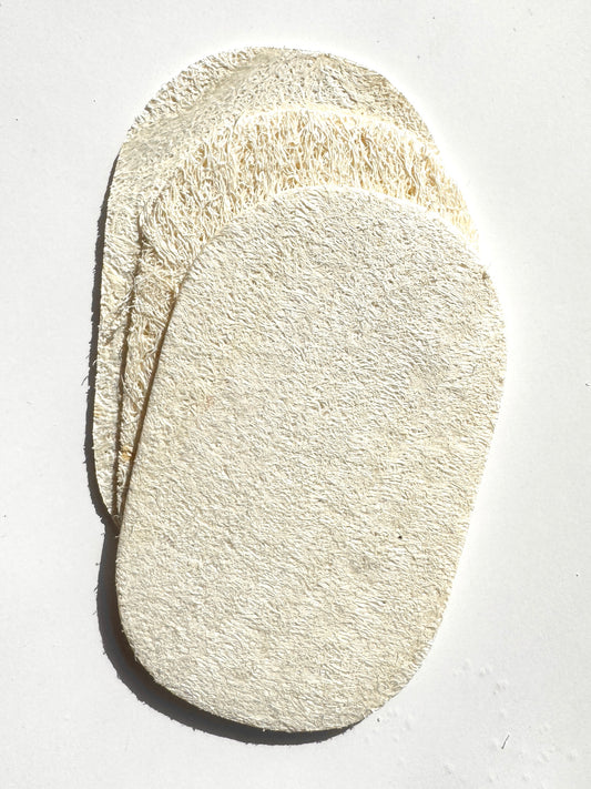 Eco-Sponge - Set of 3