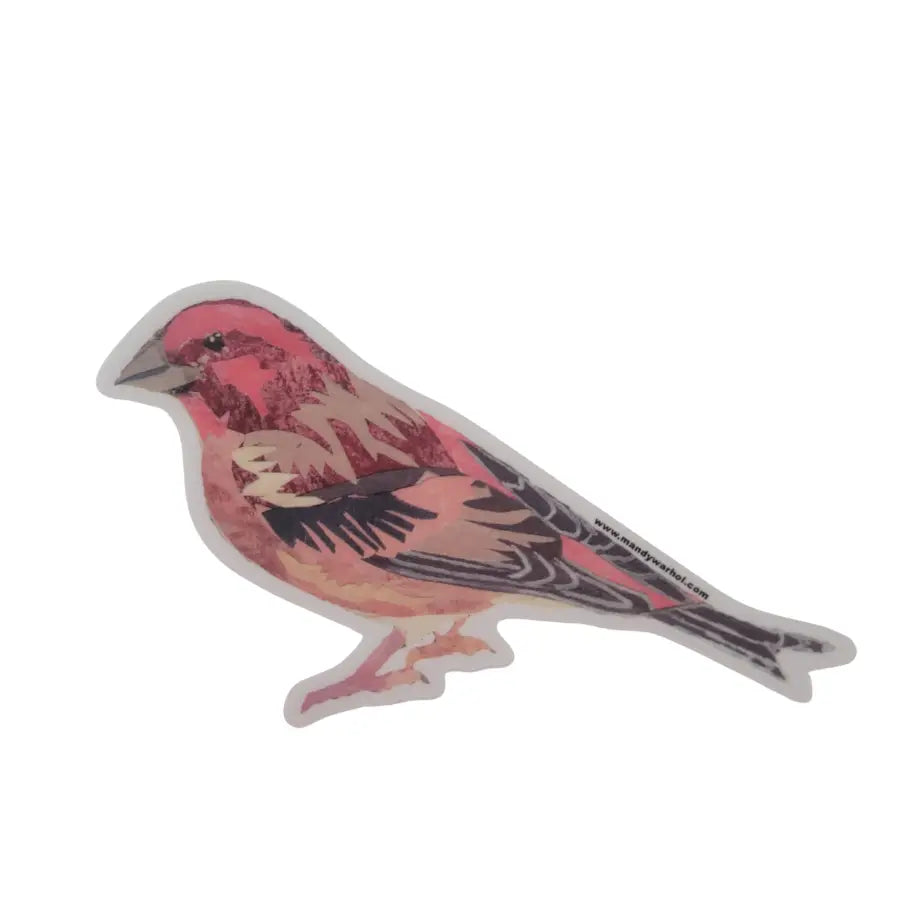 Mandy Warhol Stickers - Various