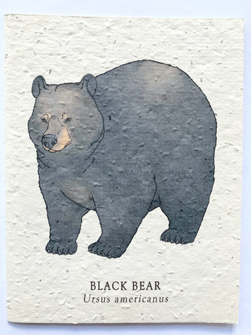 Black Bear Plantable Notecard
