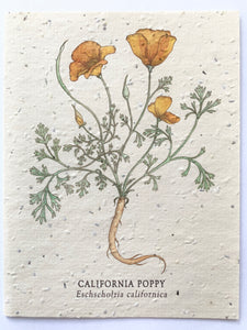 California Poppy Plantable Notecard