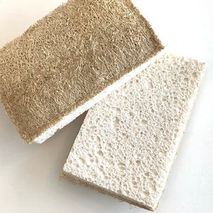 Compostable Eco-Sponge