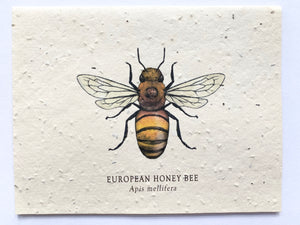 Honey Bee Plantable Notecard