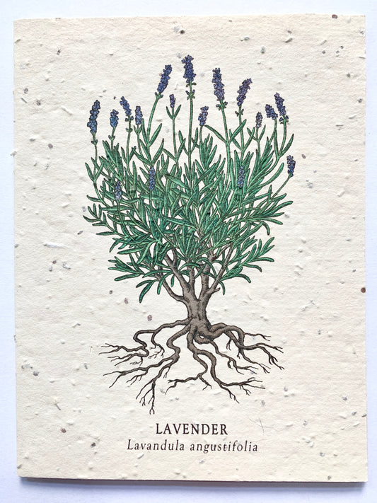 Lavender Plantable Notecard