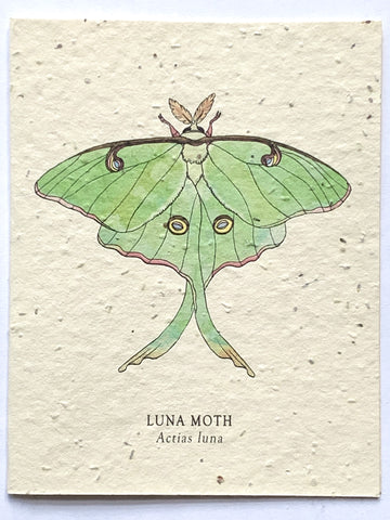 Luna Moth Plantable Notecard