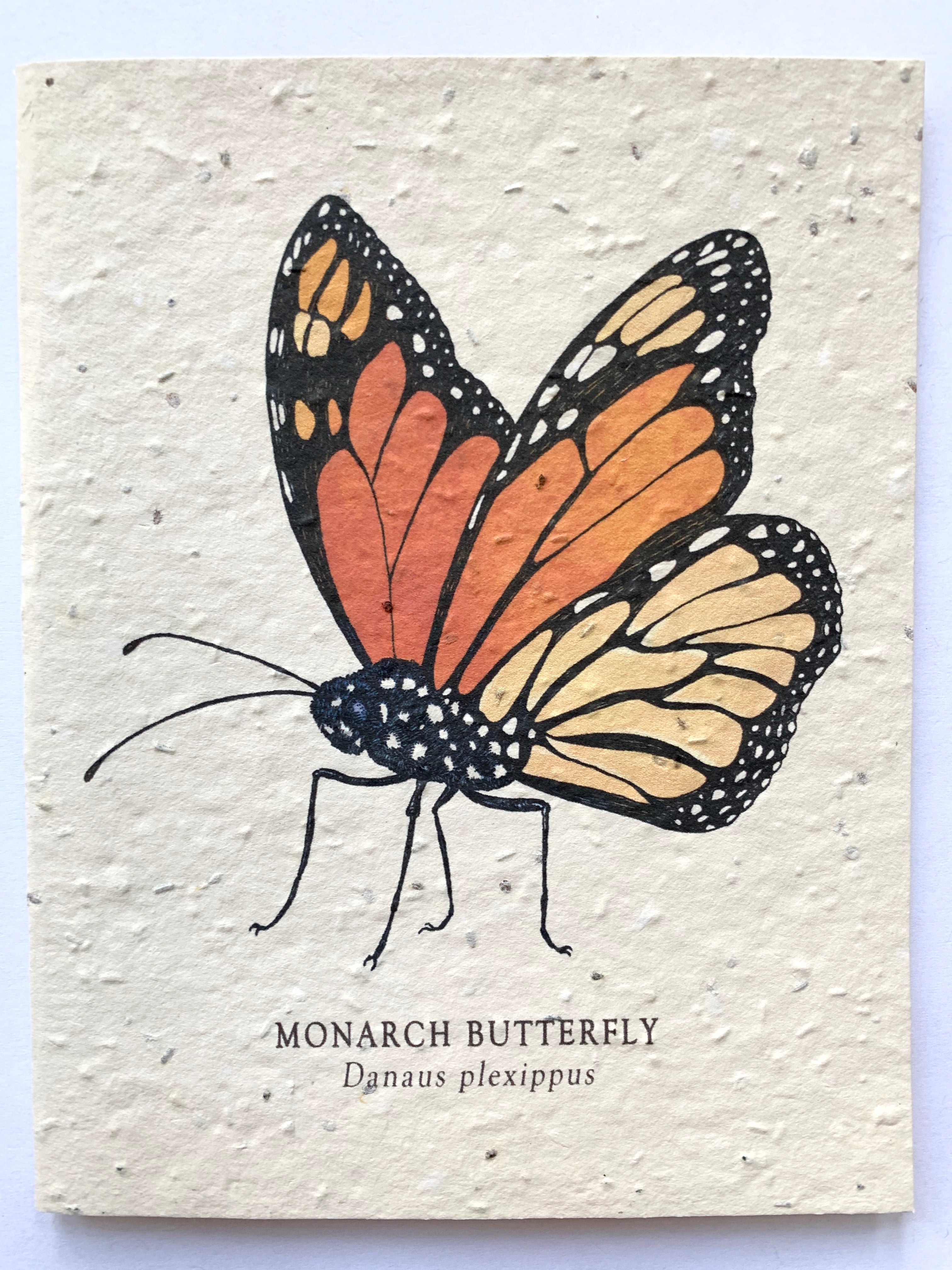 Monarch Butterfly Plantable Notecard – Center Goods